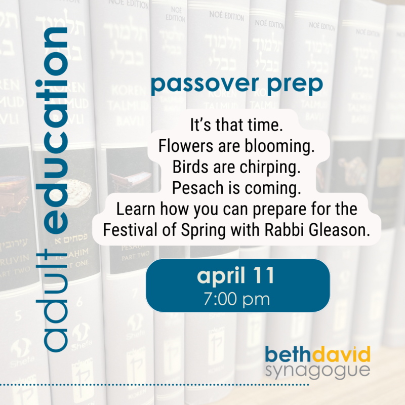 Banner Image for Adult Education: Pesach Prep with Rabbi Gleason