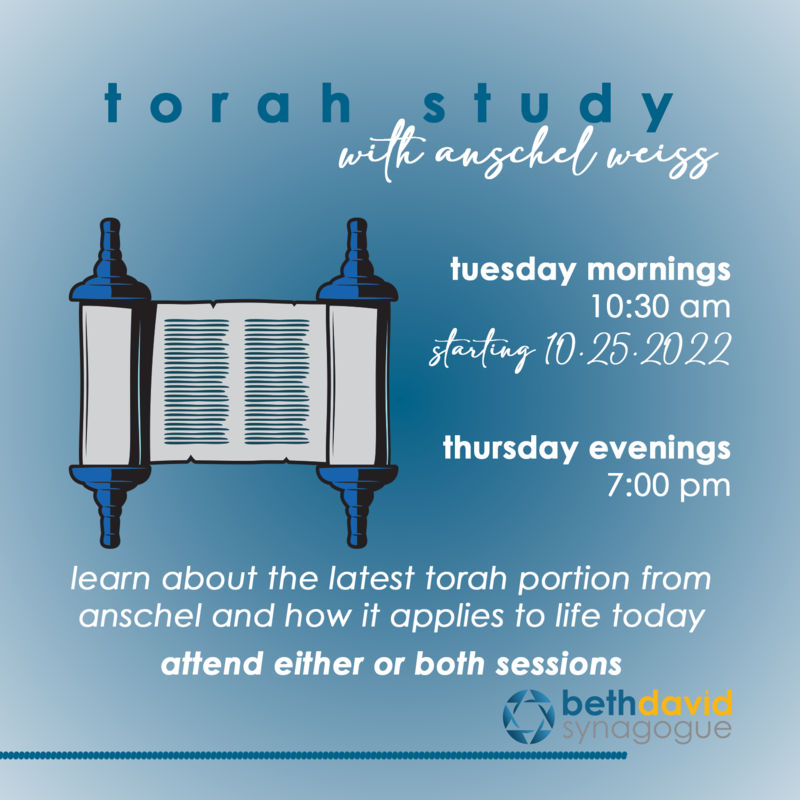 Banner Image for Tuesday Torah Study with Anschel