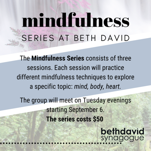 Banner Image for Mindfulness Series